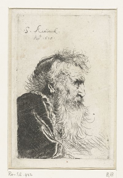 Cabeza de un anciano barbudo de perfil de Salomon Koninck